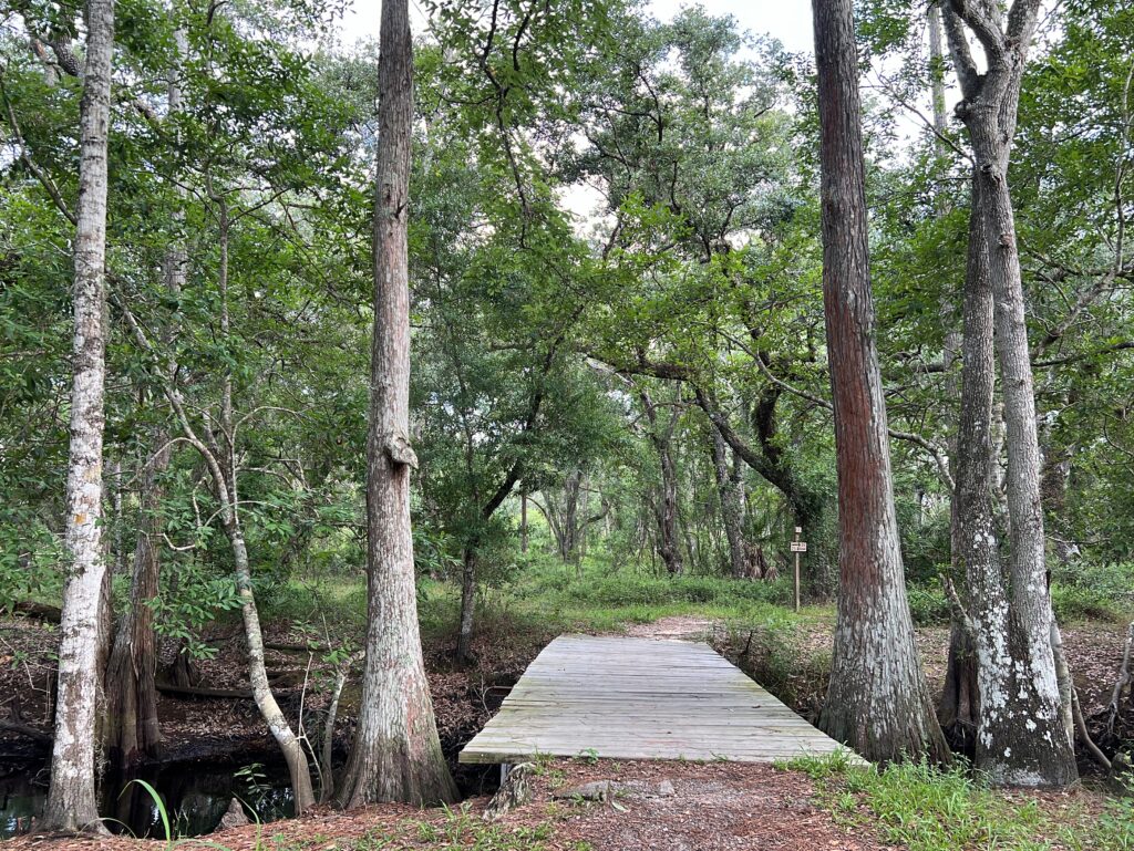 Lake Louisa State Park