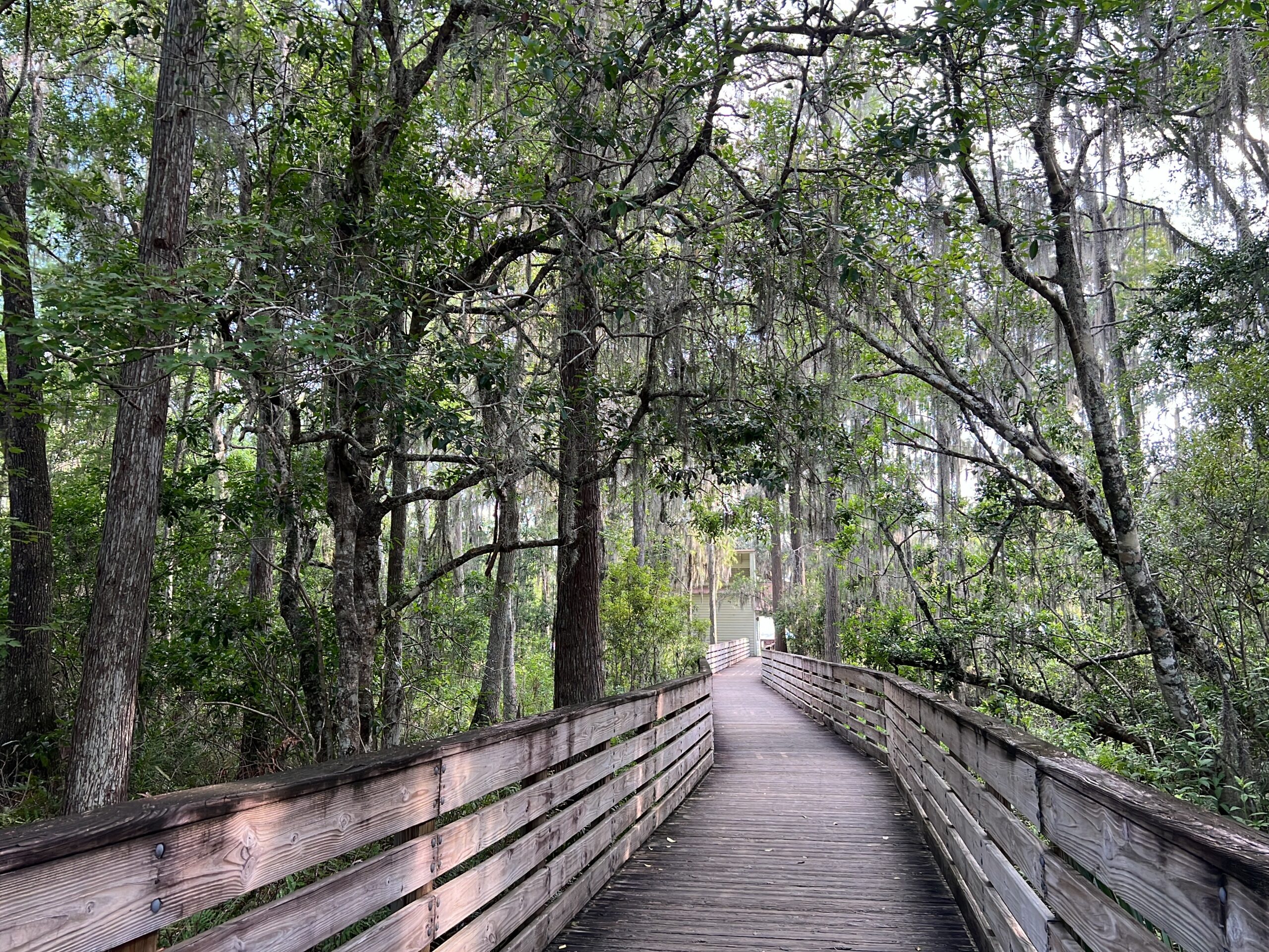 Lake Louisa Florida Virtual Walk