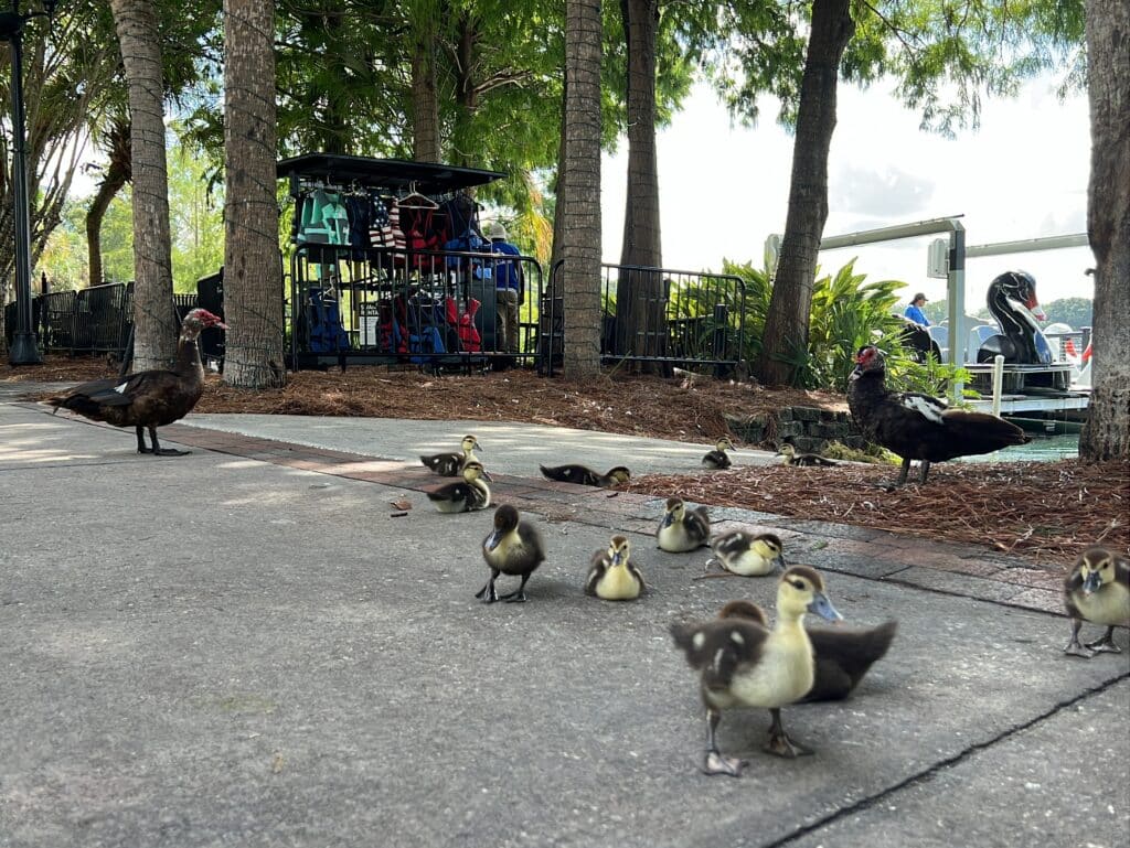 Lake Eola Park