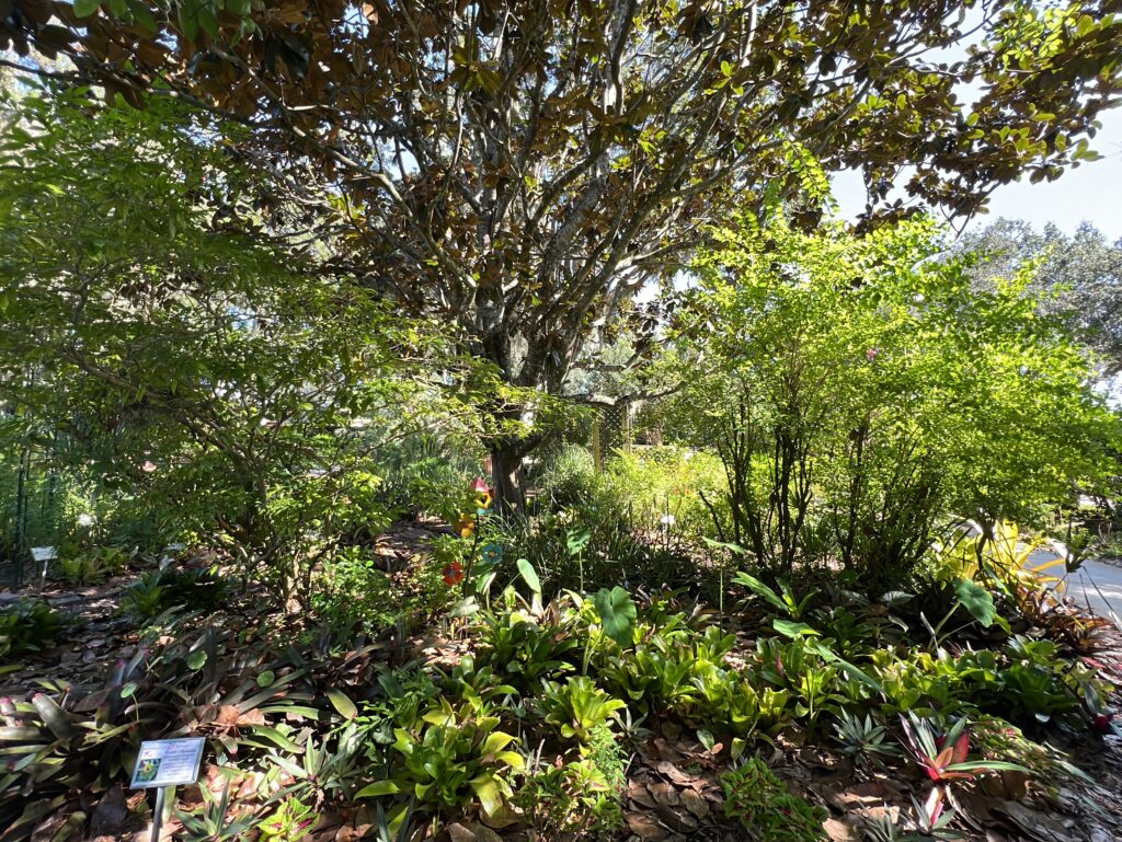 Butterfly Garden at West Orange Trail