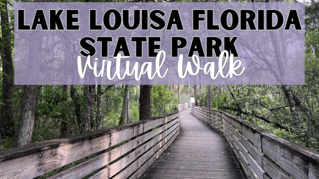 Lake Louisa State Park Virtual Walk